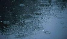 洛夫：雨天访友