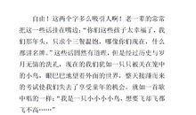 关于渴望自由的作文