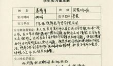 我的大学生活总结