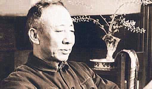 孙莉：杨国元
