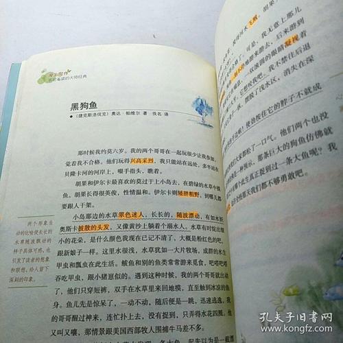 刘良成：蚂蚁