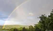 下雨前的自然现象
