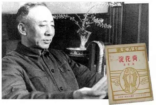 孙丽：摘香蒲平台的芦苇