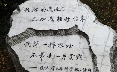 徐志摩的名言