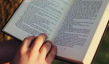 文化苦旅读后感100字