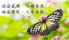 你若盛开，蝴蝶自来，你若精彩，天自安排