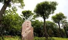 用名校精神激励我们成长