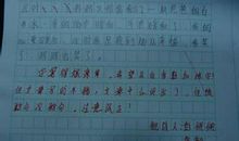 2016关于论说类作文评语