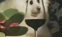 人生感悟:你若无情我便休,往事如昨易白头