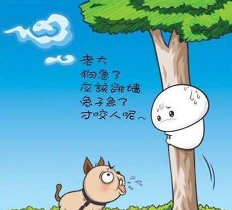 长大后，您意识到了什么不同的真理？