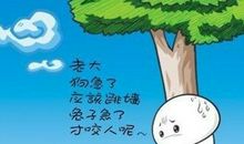 长大以后,你悟出过哪些不一样的道理?