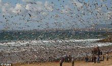 描写场面壮观的成语