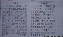 精选作文结尾评语