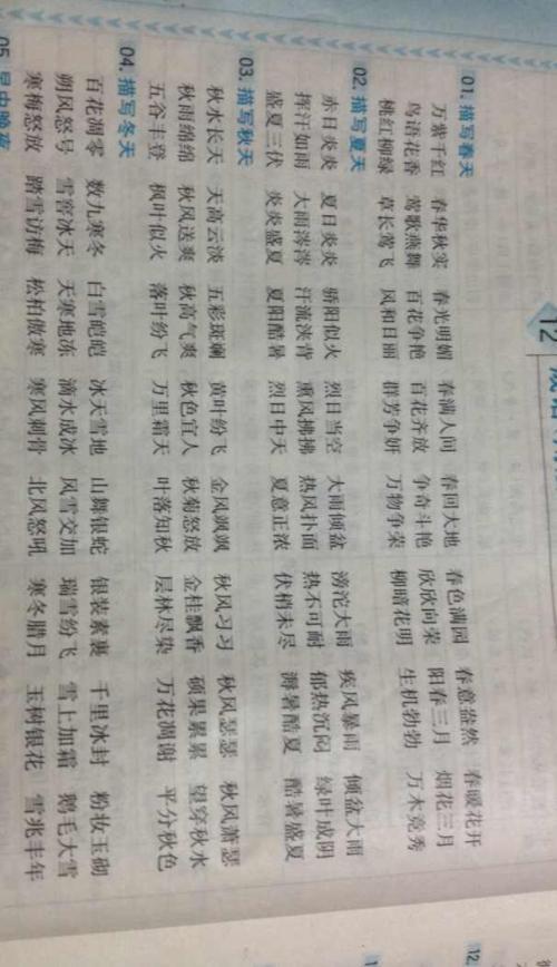 形容人的美丽的成语