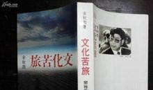 文化苦旅读后感500字