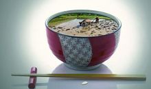 关于珍惜粮食的格言