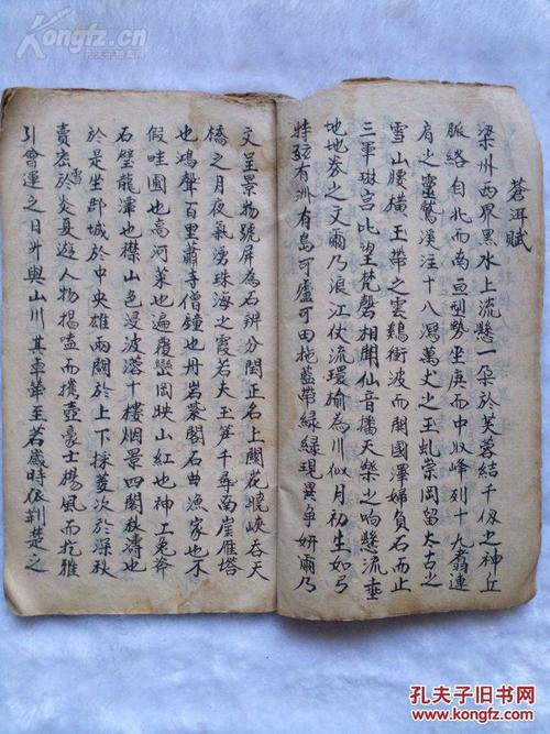 陆梦政的名言