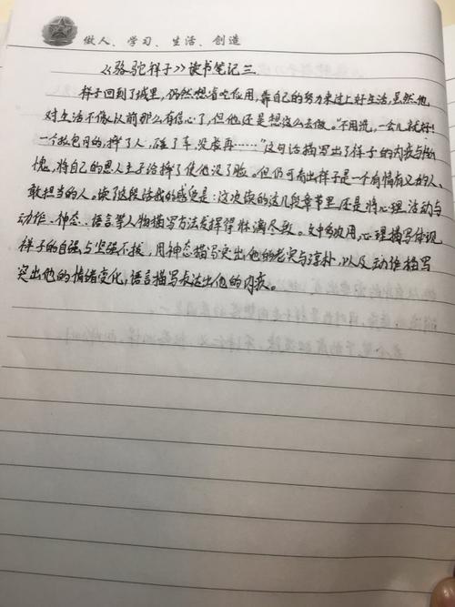 阅读笔记800字