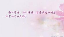 有关于安静的优美句子