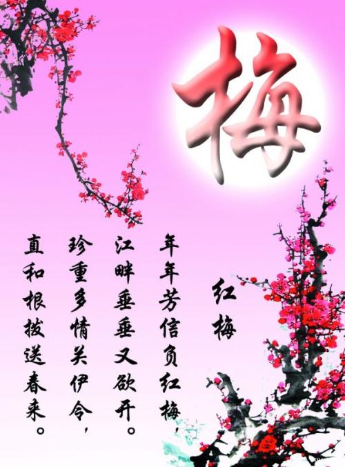 赞美梅花的诗