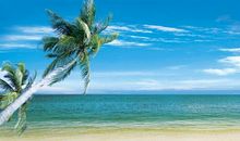 描写海面的优美句子