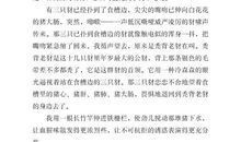 睡蟒边的雪兔读后感