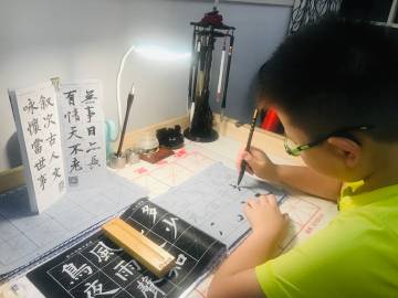 罗兰：蝉声，寂静的世界