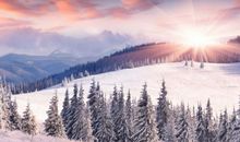 关于描写沙漠的句子