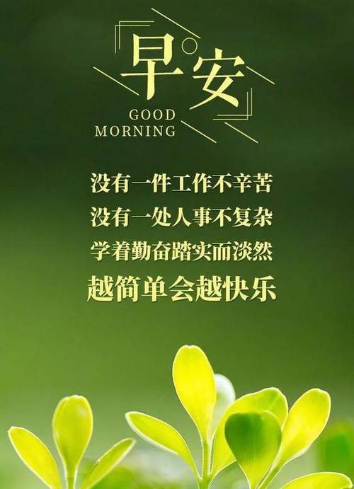 早安励志：学会放弃，生活会更轻松