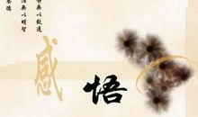 感悟人生的句子(三)