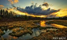 过年回家的优美句子