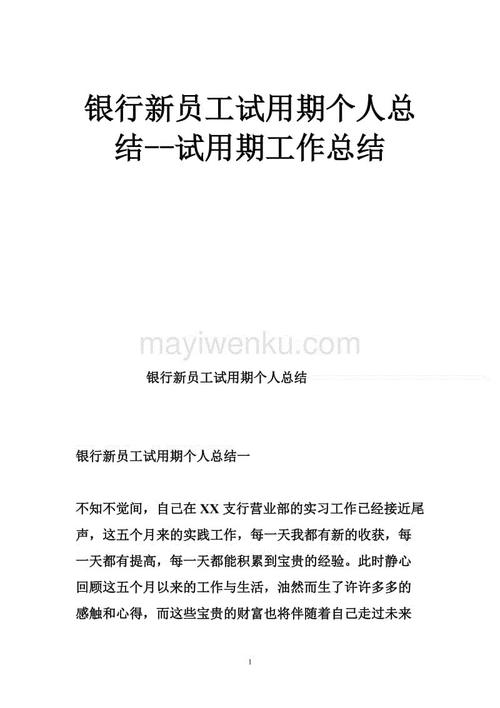 实习期间个人工作的自我总结