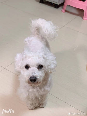圣克莱门特的名言
