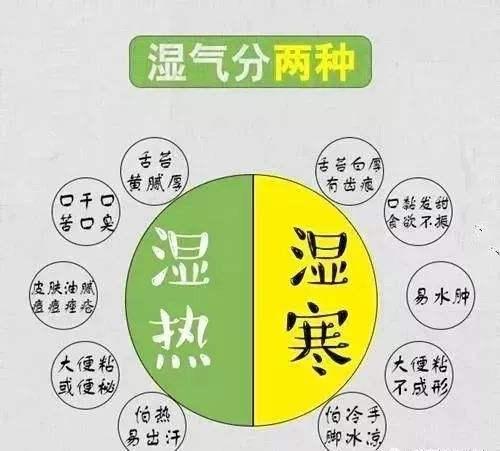 看完《为什么我们发胖》