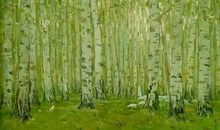 描写杨树的句子