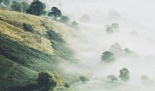 描写山中景色的句子