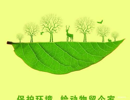 世界环境日的最新口号
