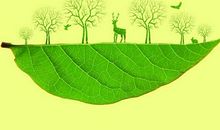 最新关于世界环境日宣传标语