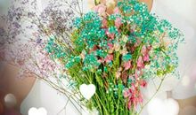 形容帅哥的句子