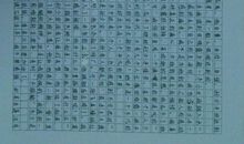 平凡的世界读后感500字