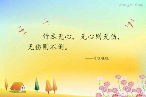 审美伤心欲绝