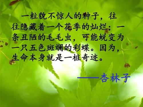 邢林子：“生命的极限”