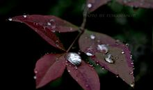 润物细无声全诗