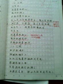 大学生阅读笔记