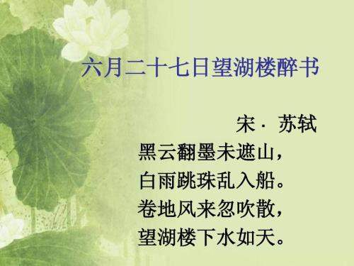 苏Shi：6月27日在望湖楼的醉书