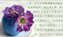 人生感悟的文章:人生唯一不能缺的是什么?