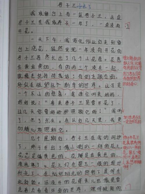 撰写评论集
