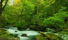 描写小溪的优美句子