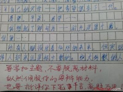 2016年小学论文评论