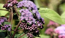 为什么我们喜欢把火撒在亲人身上?